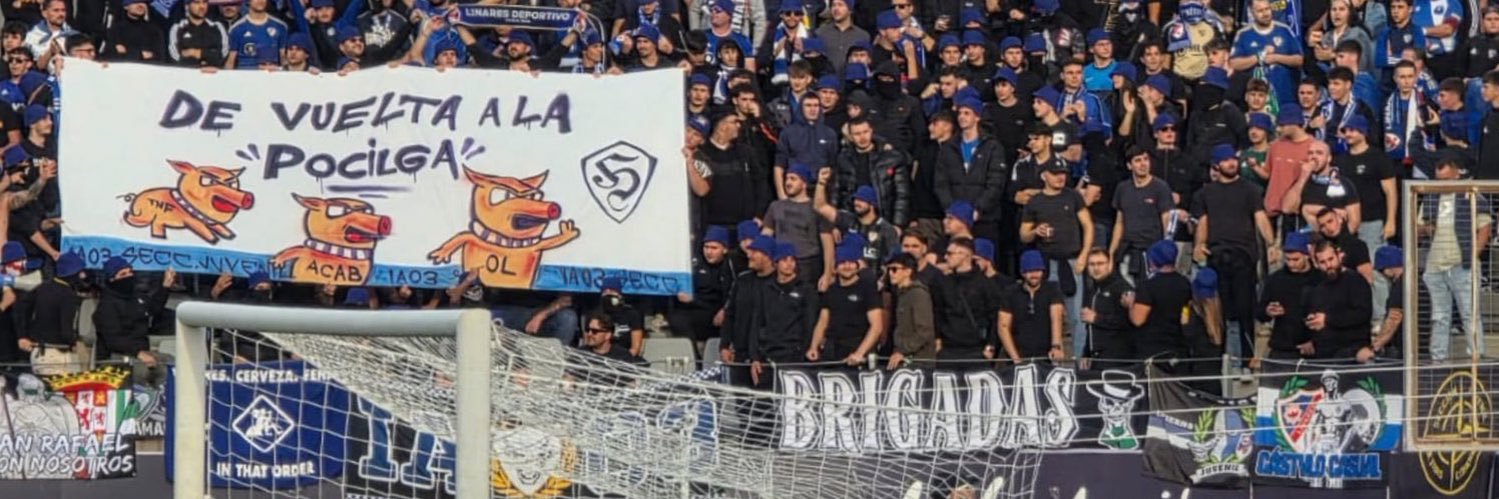 LNRSHOOLIGANS's profile banner image