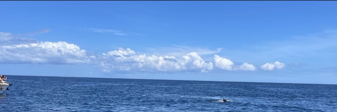 seyenzo's profile banner image