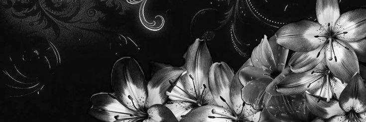 𝖣𝗂𝖺𝖻𝗈 𝖽𝖾 𝖥𝗋𝖺𝗇𝗃𝖺💋 banner