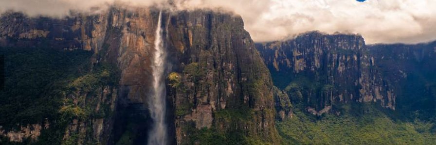 Reyna J. Perdomo banner