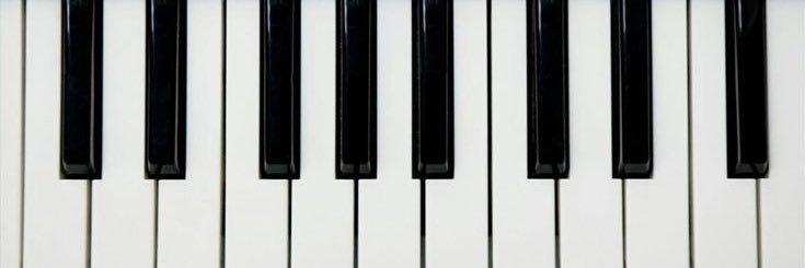 jaidyn banner