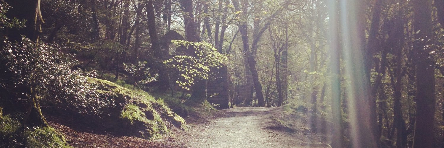 biselwood's profile banner image