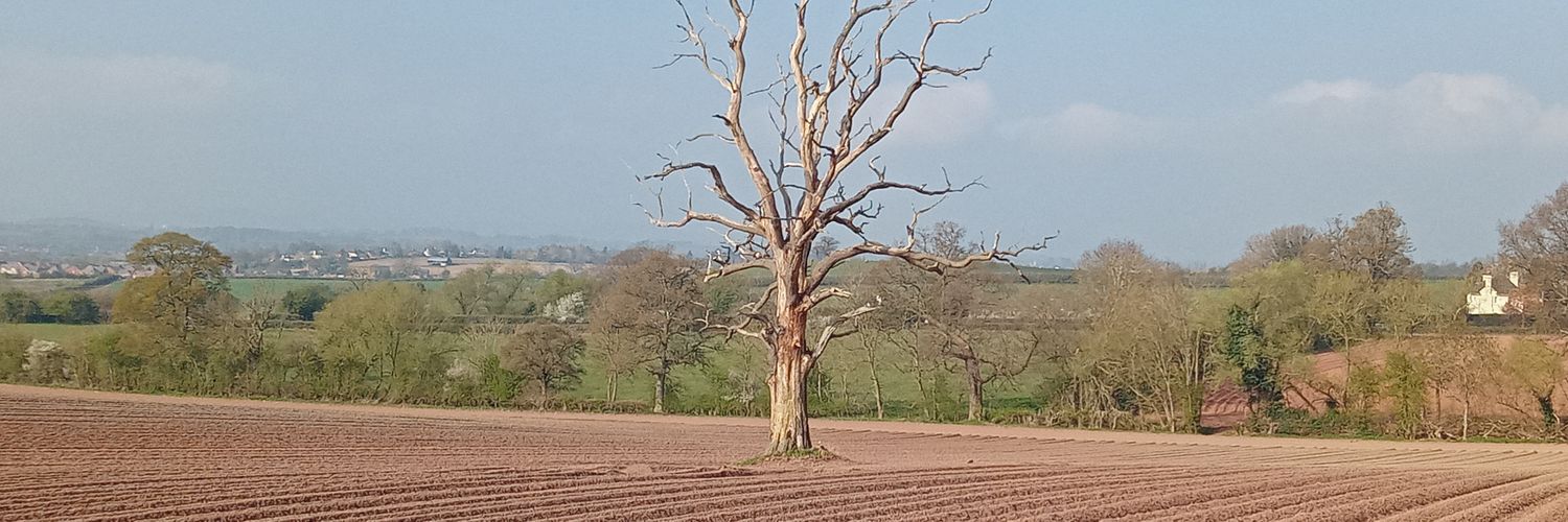 Stephen Alexander banner