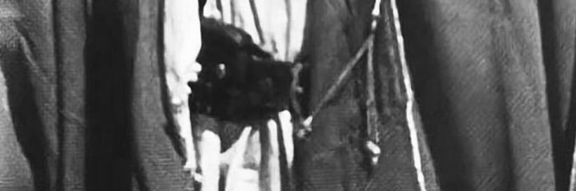 رُمح سلامة banner