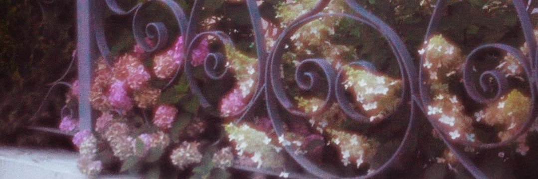 val ⋆꩜ banner