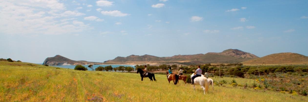 Marca Parque Natural banner