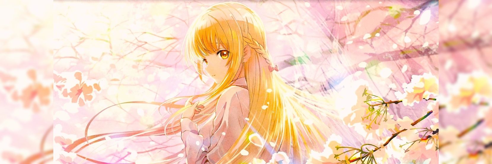 パブロ 29VP//Pablo29VP banner