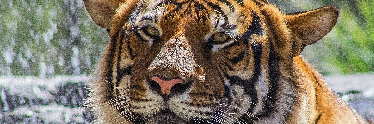 yogasvb's profile banner image