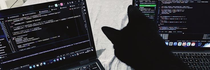 ⊹ ࣪ ˖ 𝒯riz 💻 banner