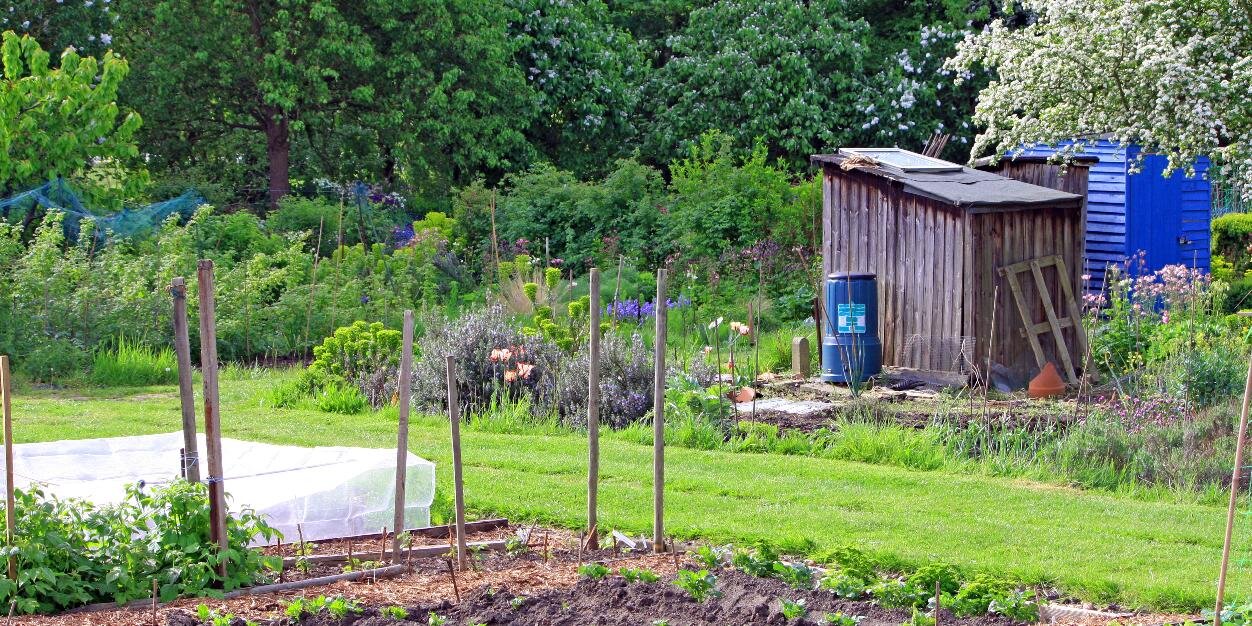 Organic Lifestyle banner