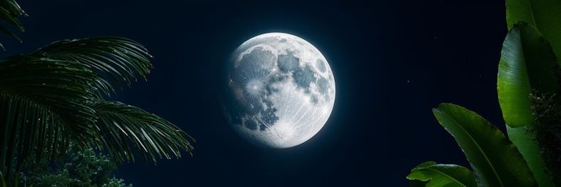 good9moon's profile banner image