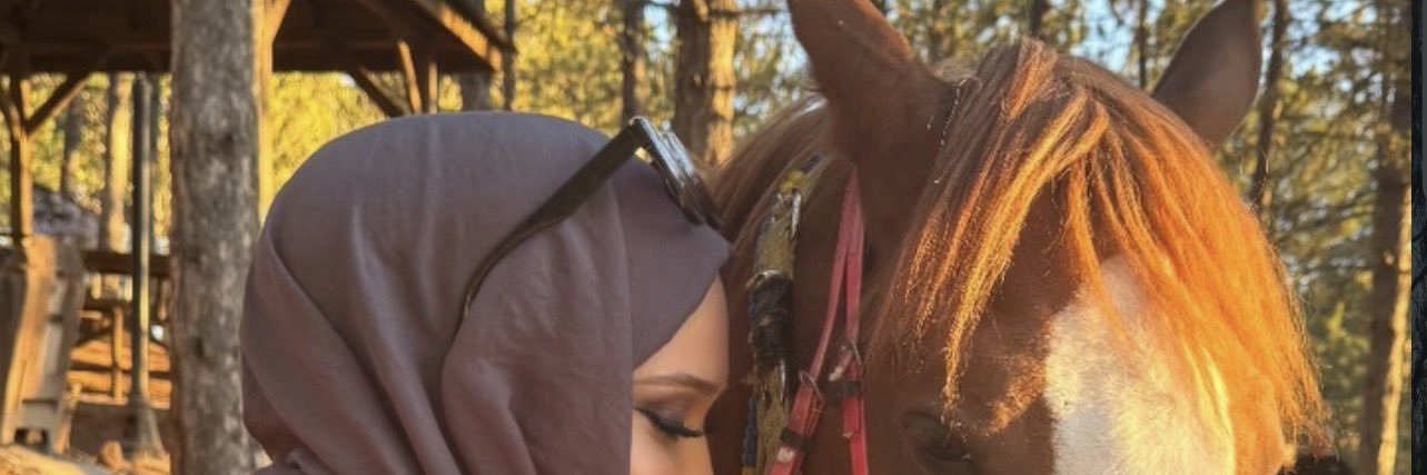sevda banner