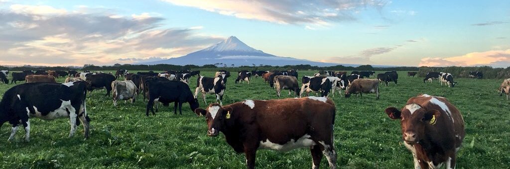 Matthew Herbert banner