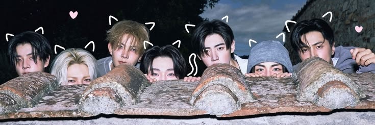 Kashish⋆. 𐙚 ˚🪷 banner