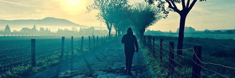 danysca22's profile banner image