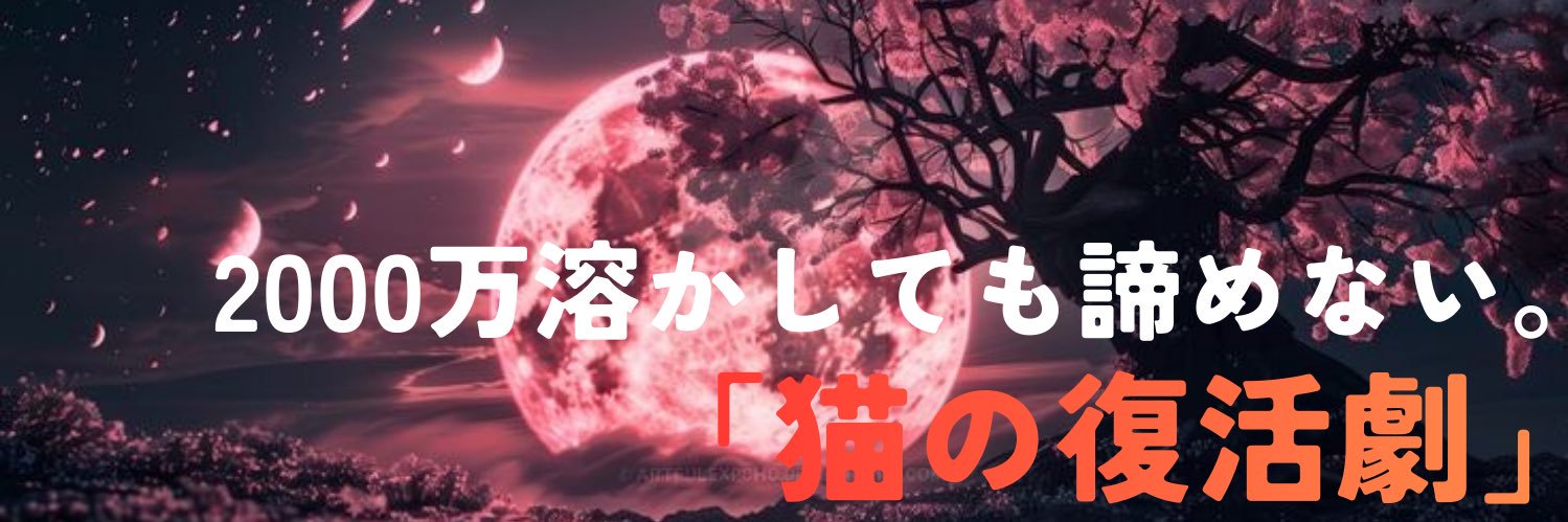 runa🐱個別株&ゴールド banner