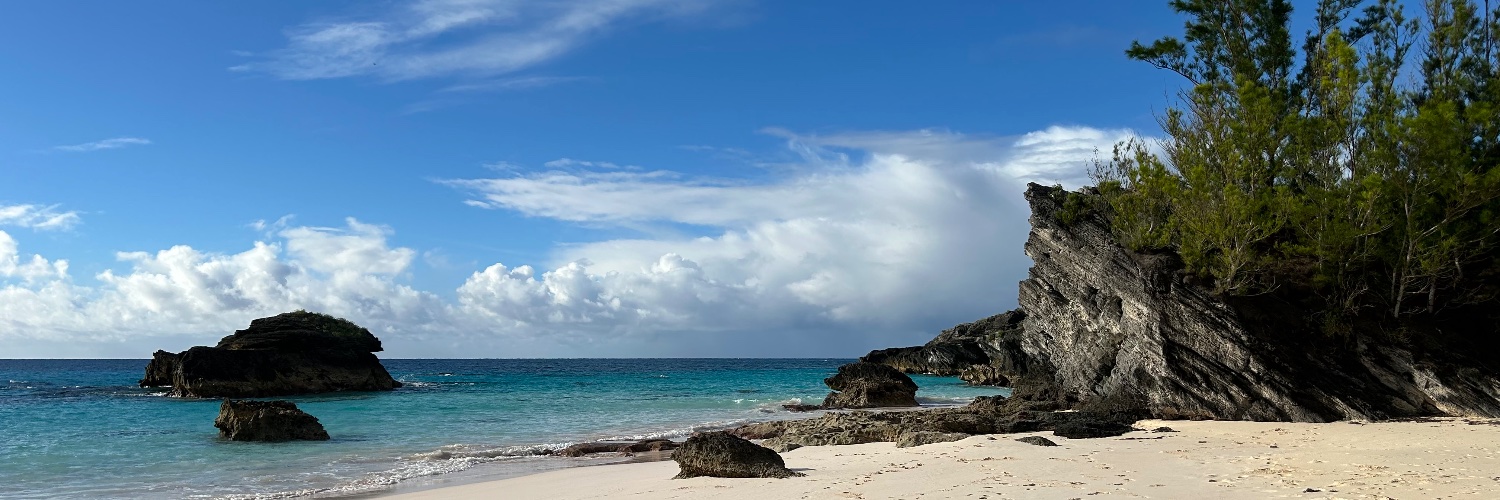 Esther Fletcher banner