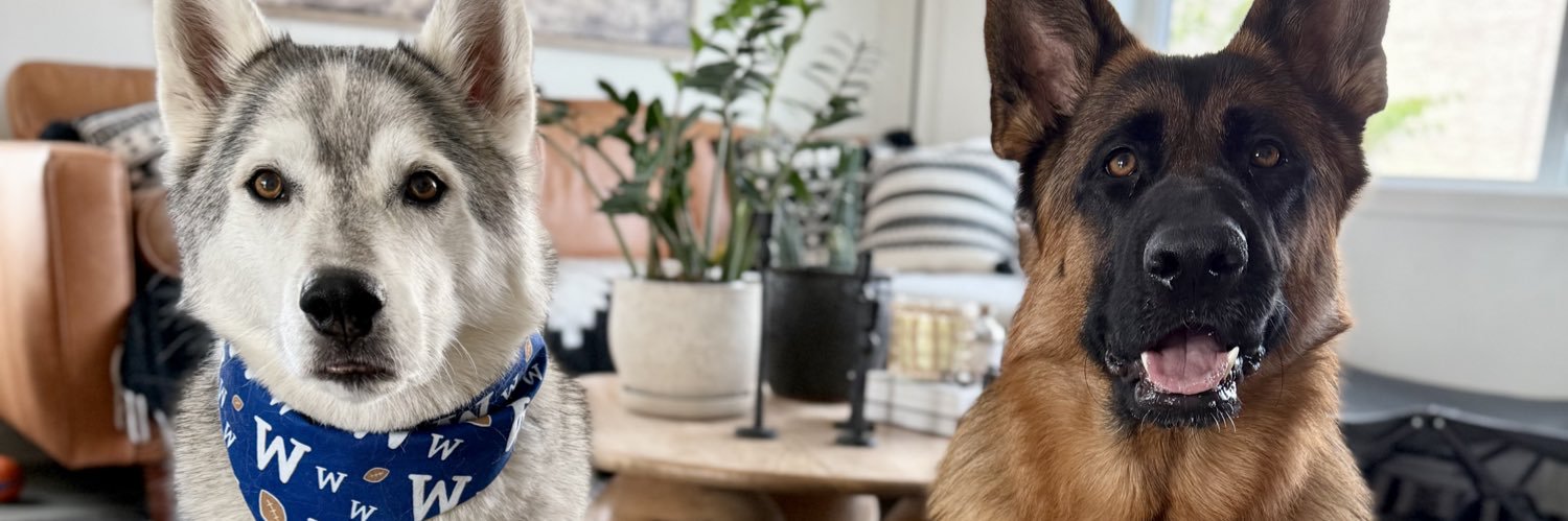 Rhéanne Marcoux banner