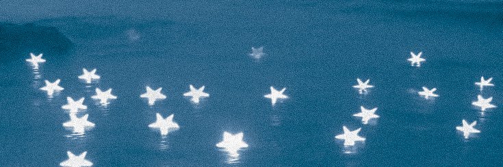 𝐬𝐭𝐚𝐫𝐠𝐚𝐳𝐞, 𝐤𝐢𝐫𝐞𝐧. banner