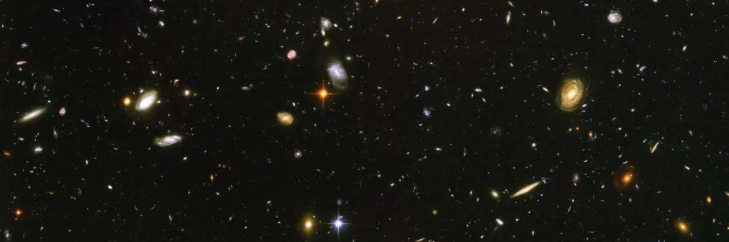 sadie 🏳️‍⚧️ banner