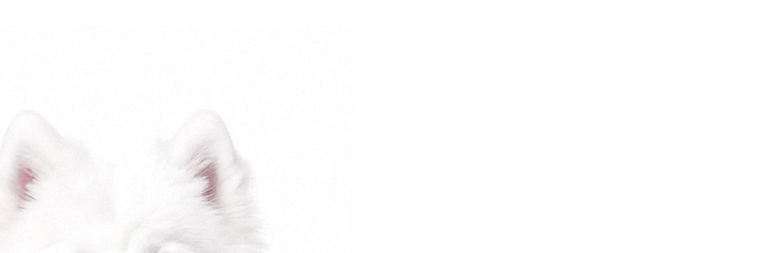 lillcatiee's profile banner image