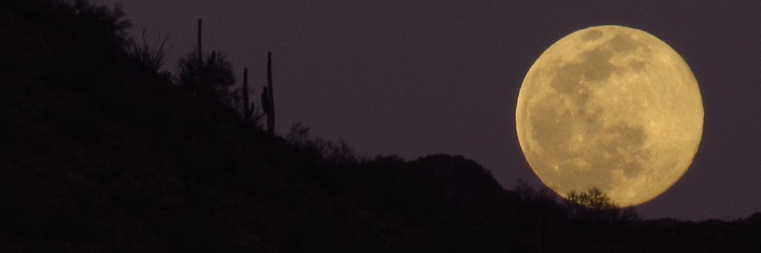 ursus88's profile banner image