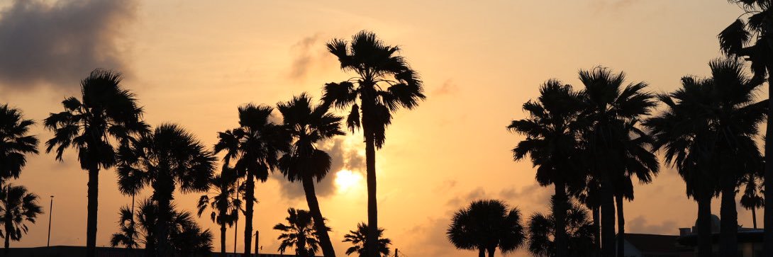 Caligamer90 banner