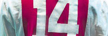 ramon banner