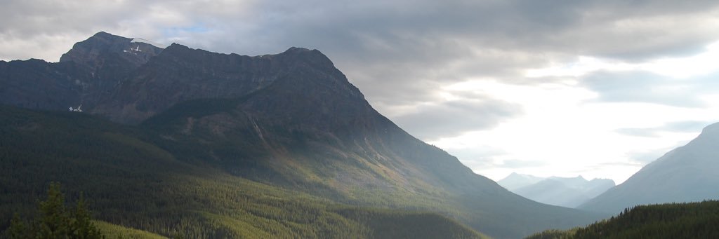 David Ryan banner