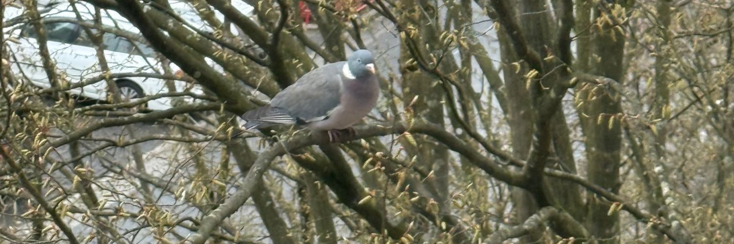 پرہیزگار banner