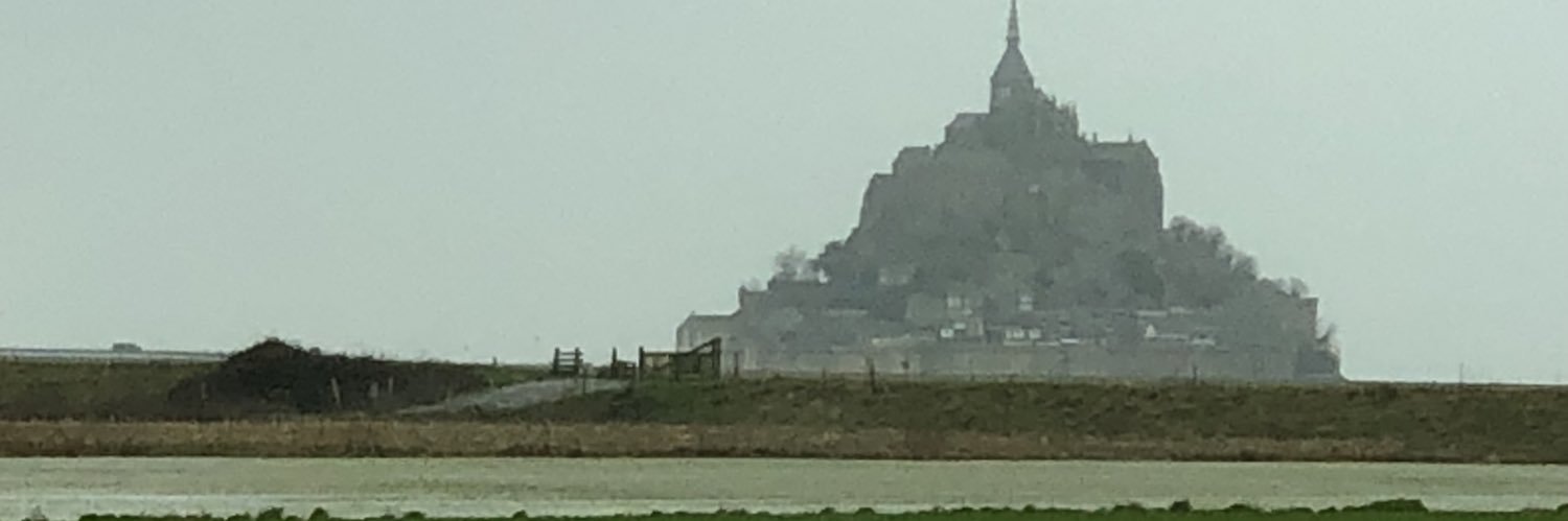 rizzm with the tism banner