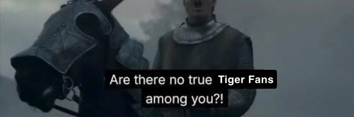 Ser Duncan The Tall banner