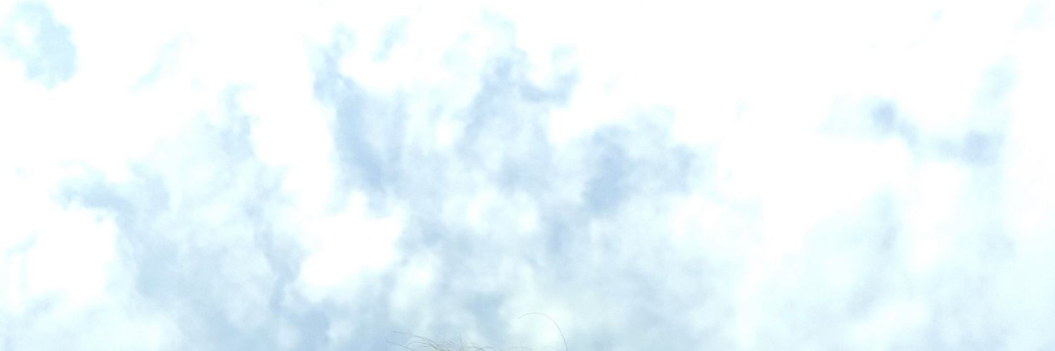danohm's profile banner image