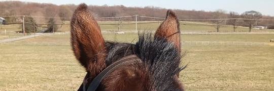 B2BSaaSMarketer banner