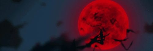 𝕭. 𝕲𝖗𝖆𝖛𝖊𝖘 banner