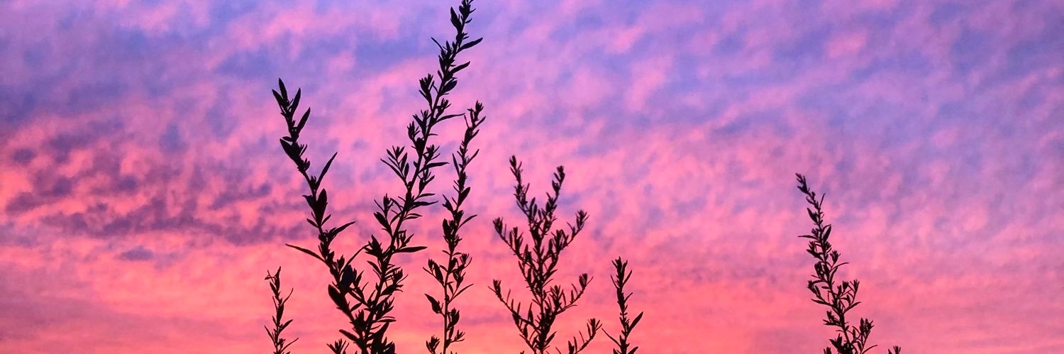 EJJung331's profile banner image