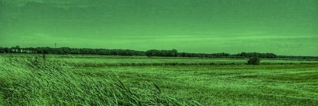 Ｍ Ｉ Ｌ Ｏ 🌱 banner