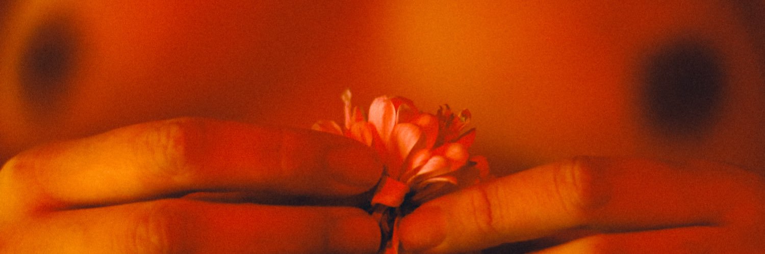 MFCE2426's profile banner image