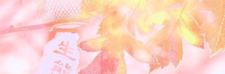 misty !! mdni banner