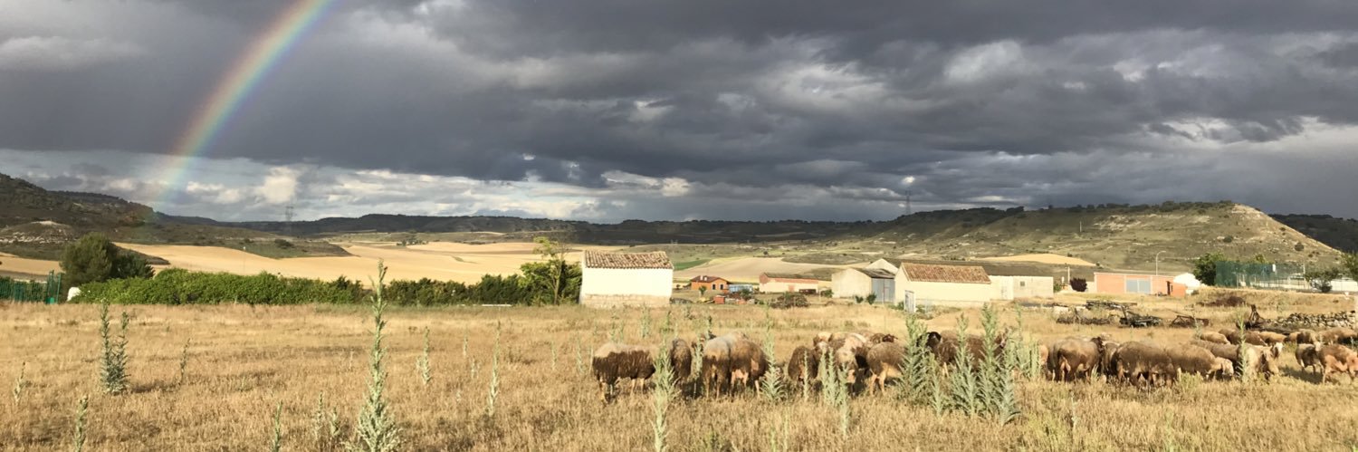 M. Teresa 👁️ banner