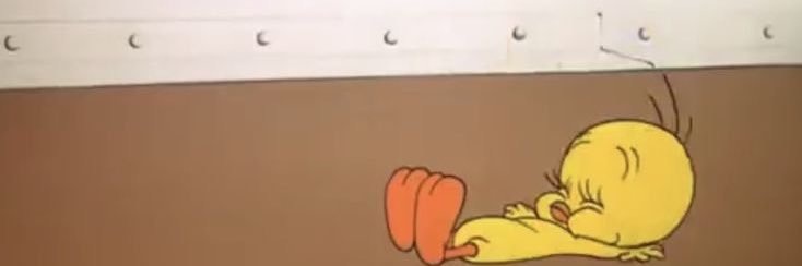 ss banner