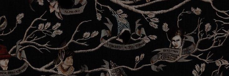 𝐖𝘢𝘭𝘣𝘶𝘳𝘨𝘢 . banner