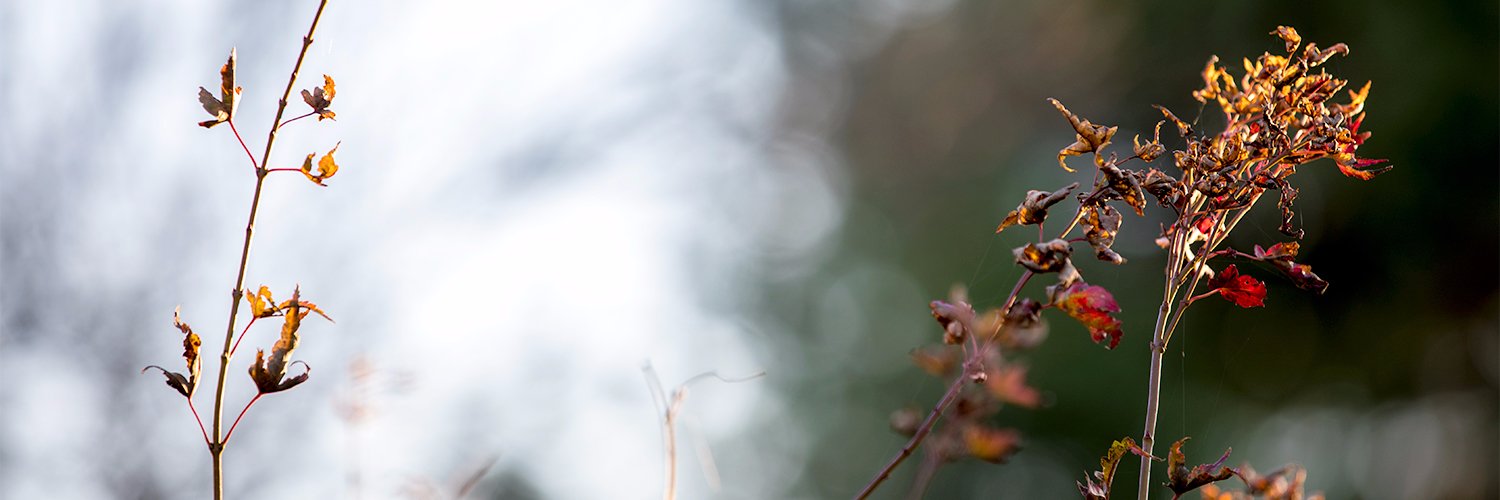 BrettBerchtold's profile banner image