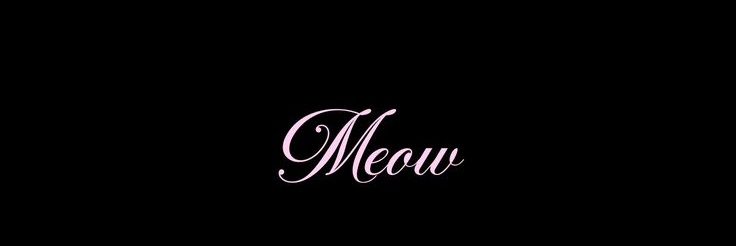 Berlim. banner