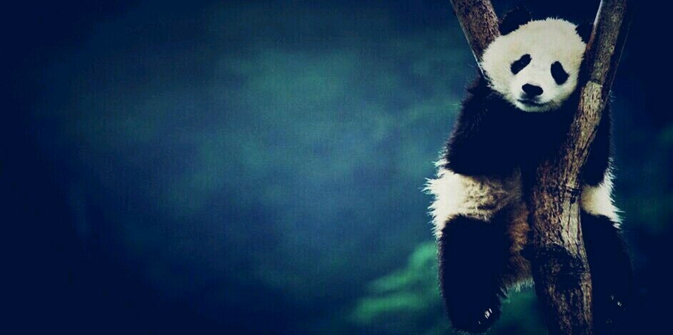 ReginaaaGinting's profile banner image