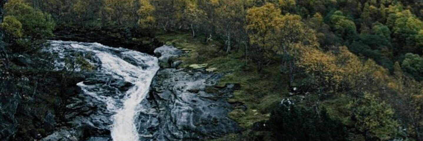 tombibiyan's profile banner image