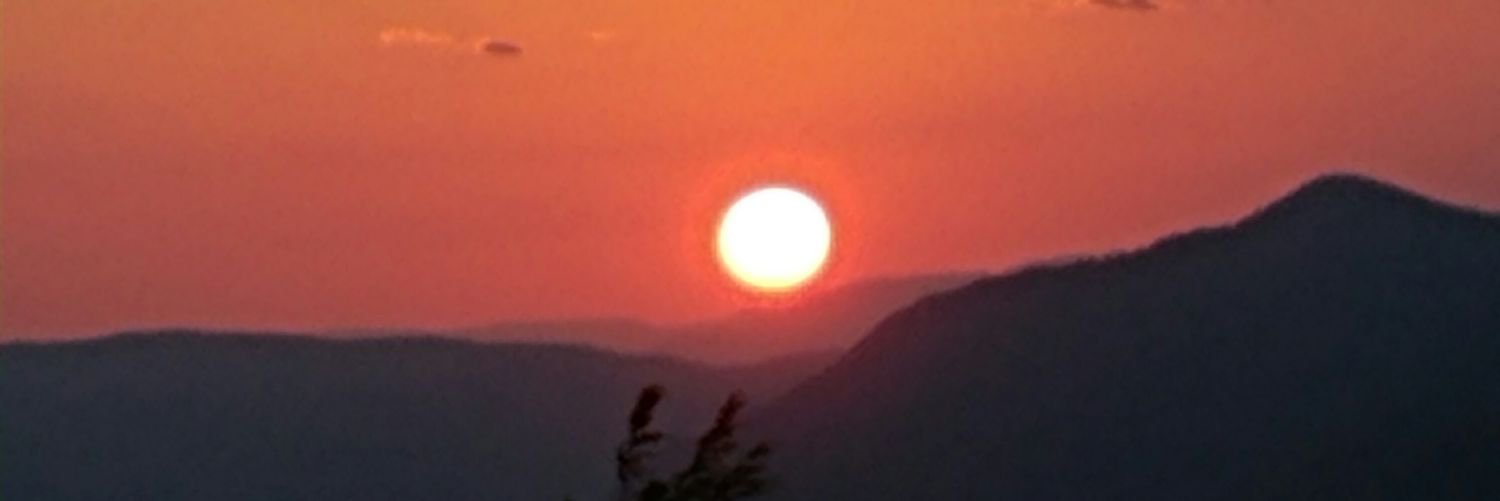 m2rose's profile banner image