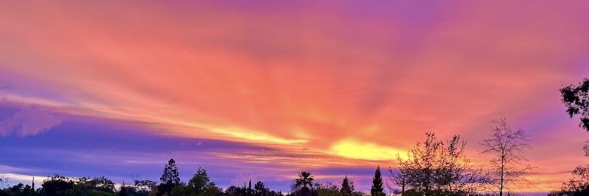 prodbeeside's profile banner image