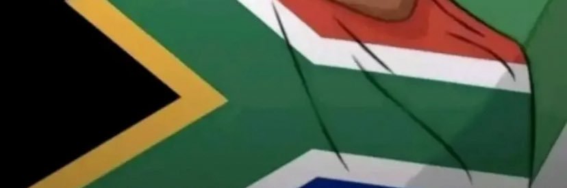 South African banner