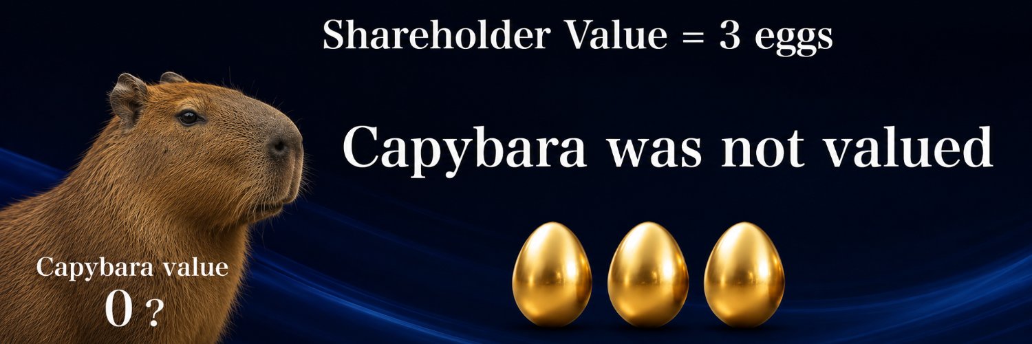 0x_capybara banner
